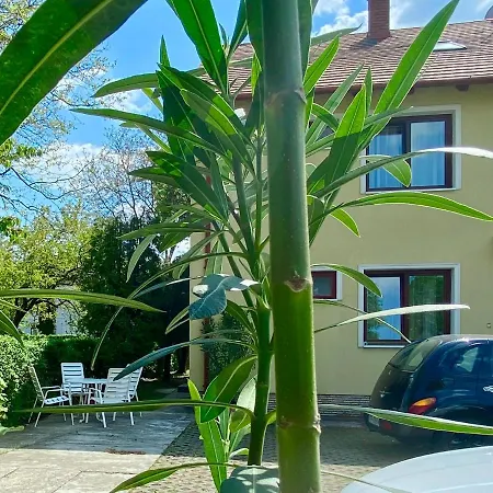 Apartment Sweet Xl *
